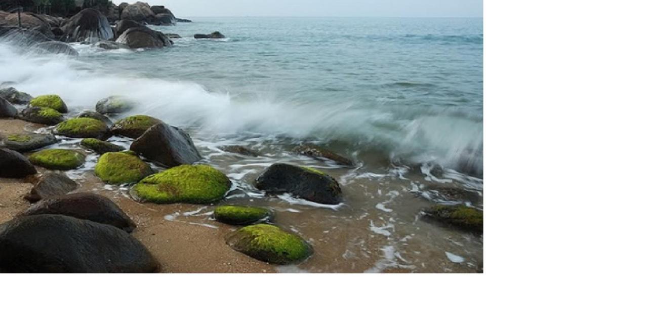 Da Nang Minh Hai Exteriér fotografie