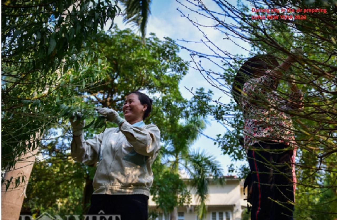 Da Nang Minh Hai Exteriér fotografie